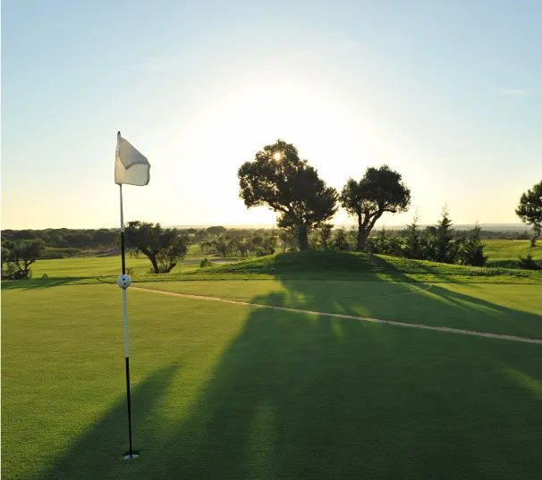 Flag on a green at sunrise with two trees on the horizon